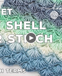 Crochet Puff Shell Star Stitch (Great for Scarves or Blankets)  Stunning Textured Stitch