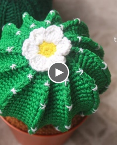 tutorial amigurumi cactus  1  misyelshin crochet