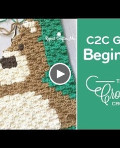 Crochet Corner to Corner (C2C) Graphghans for Beginners